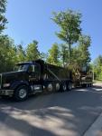 Excavation Services